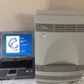Biosystems ABI 7300 Real-Time PCR System