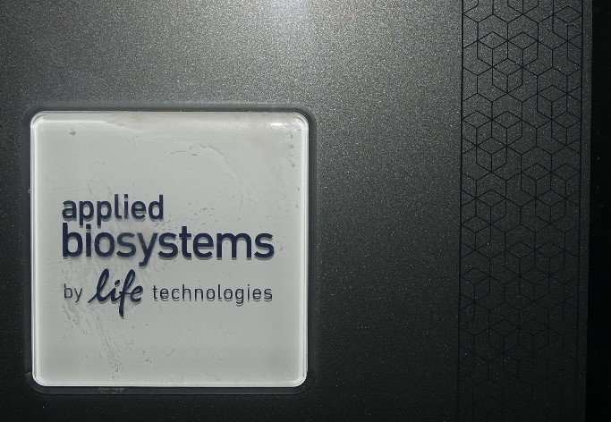 Thermo QuantStudio 6 Flex Real-Time PCR System