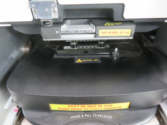 Thermo ViiA 7 Real-Time PCR System 5