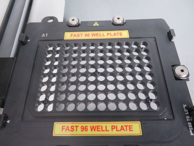 Thermo ViiA 7 Real-Time PCR System 6